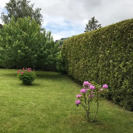 Yulia Horská chata *