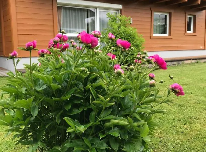 Horská chata Yulia *