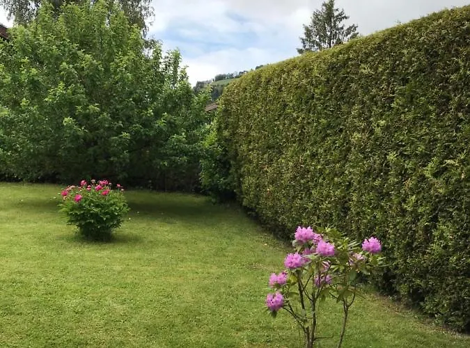 Yulia Horská chata *